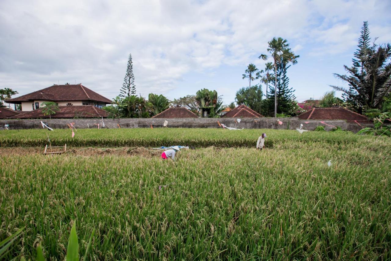 Villa Piece Of Peace Private 3Br With Large Pool And Garden Canggu Exterior foto
